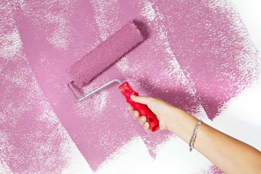 roller brush with pink pain