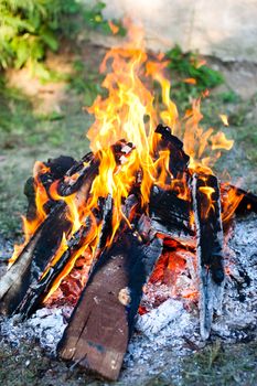 Campfire in nature