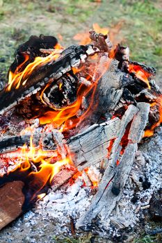 Campfire in nature