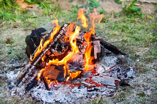 Campfire in nature