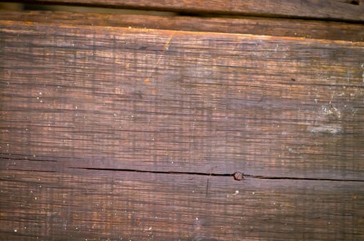 wood texture with natural patterns