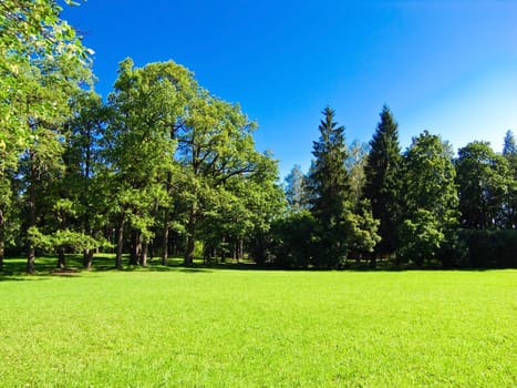 landscape bathed in sunlight lawn and blue sky