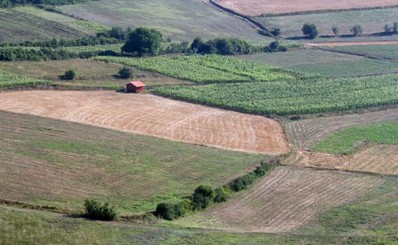 rural landscape