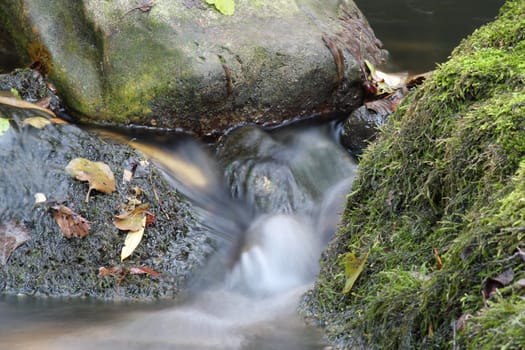 stream nature scene