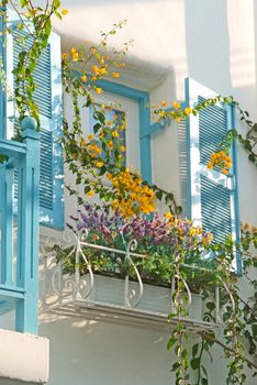 Vintage blue window Decorative with basket flowers on the white wall.