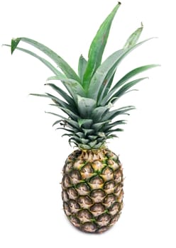 Big pineapple isolated on white