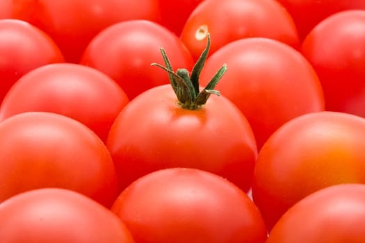 Red tomatoes background