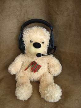 Toy bear in headphones isolated on the grey background