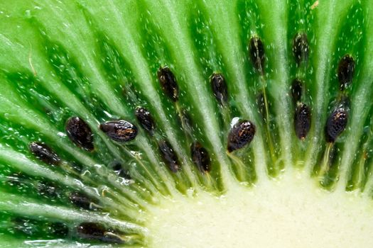 Macro photo of a fresh kiwi