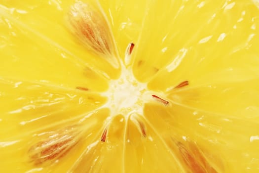 Slice of lemon, close up