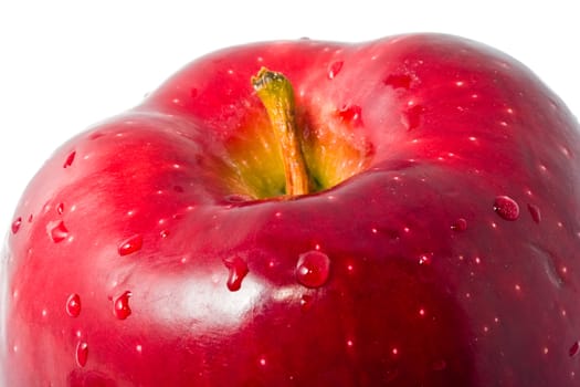 Fresh red apple close up