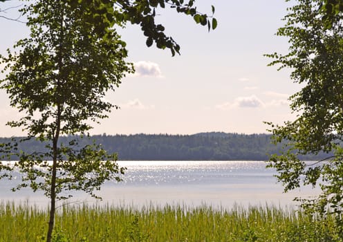 Simple beauty of the northern lake in the short summer