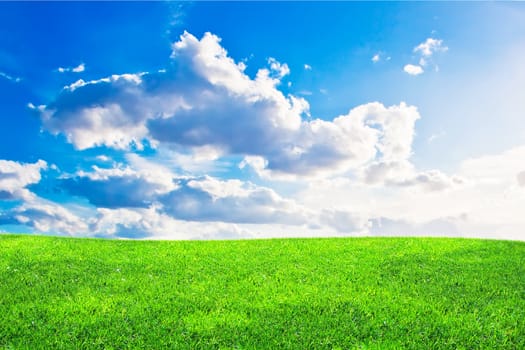 Green grass and blue cloudy sky in summer