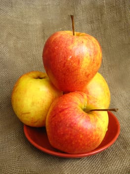 four nice apples on the plate, on the brown background