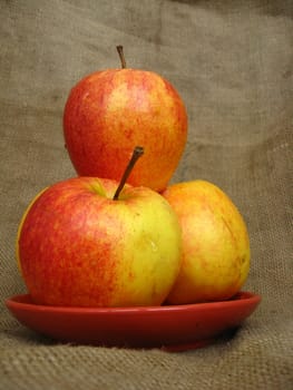 four nice apples on the plate, on the brown background