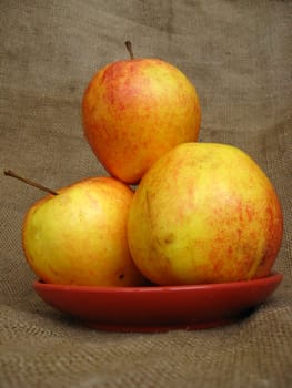 four nice apples on the plate, on the brown background