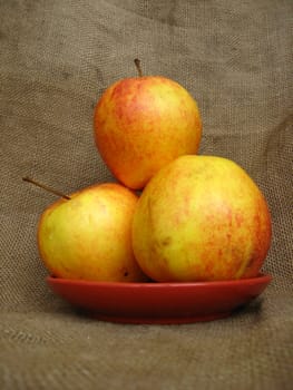 four nice apples on the plate, on the brown background