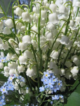 Beautiful bouquet of lilies of the valley and blue flowers