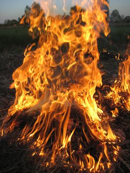 body of flame inflaming in a field