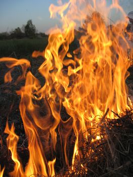 body of flame inflaming in a field