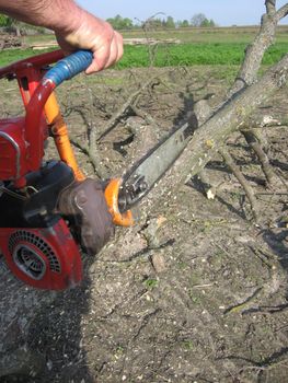 The man sawing the firewoods by petrol saw