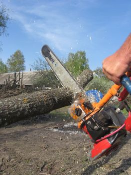 The man sawing the firewoods by petrol saw