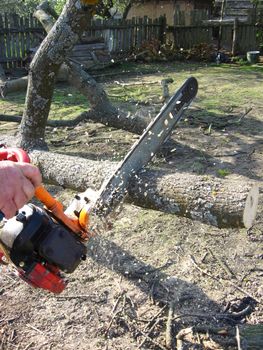 The man sawing the firewoods by petrol saw