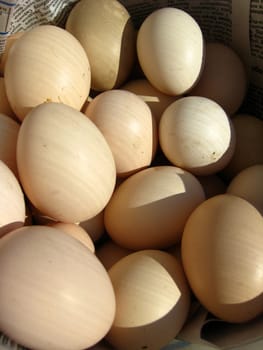 The image of many tasty eggs of the hen