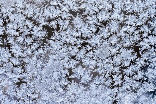Frost pattern on a winter window