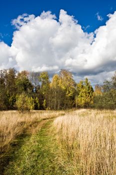 A road in the field
