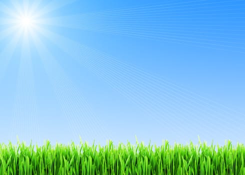 Fresh green grass under blue sky