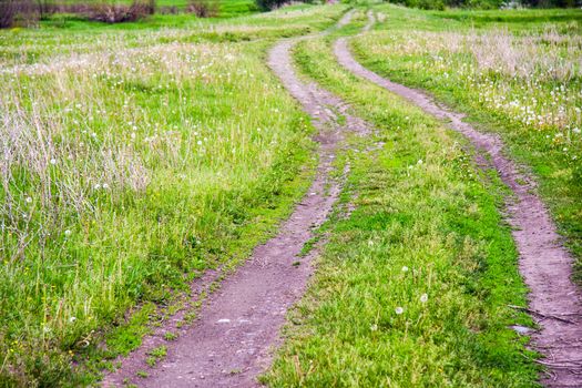 summer landscape with a field road