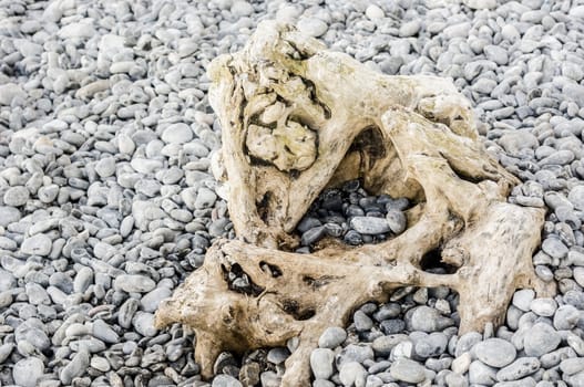 Driftwood on rocky beach