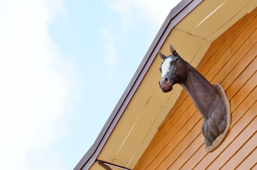 Horse head art at wooden wall surface