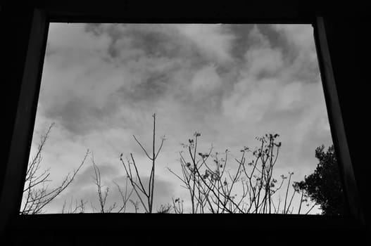 View to trees and winter sky through dark window frame. Black and white.