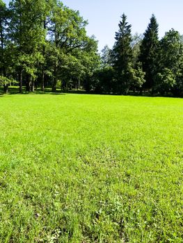 landscape bathed in sunlight lawn and blue sky