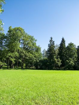 landscape bathed in sunlight lawn and blue sky