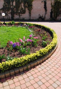 Beautiful garden with blooming hyacinths and lamp is created in the half-circle shape