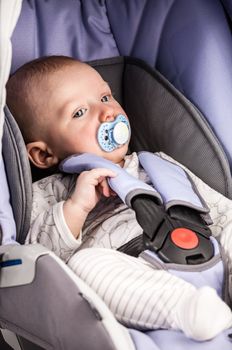 Cute little boy wearing a seat in the child car seat