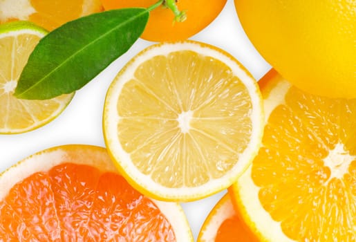 Mix of citrus slice isolated on white