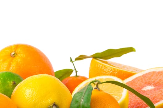 Fruits citrus on white