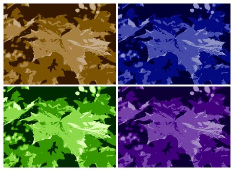 colored maple leaf texture