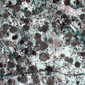moss texture blue stone