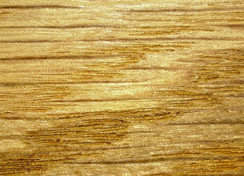 oak texture