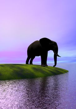 elephant and hill and sea