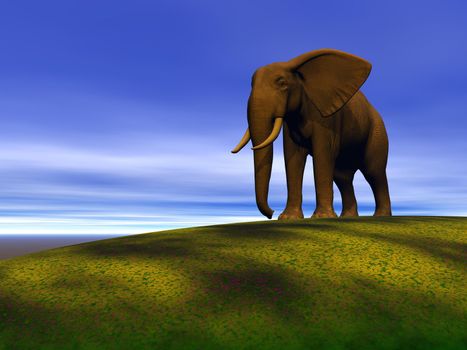 elephant and hill and sky blue