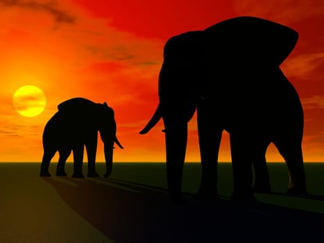 elephants and sun
