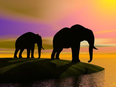 elephants and hill and sea