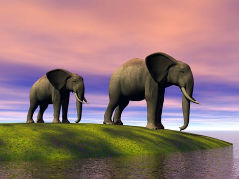 elephants and hill