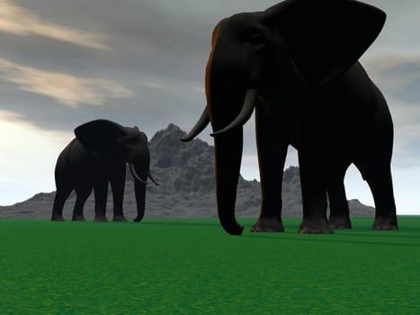 elephants and mountain